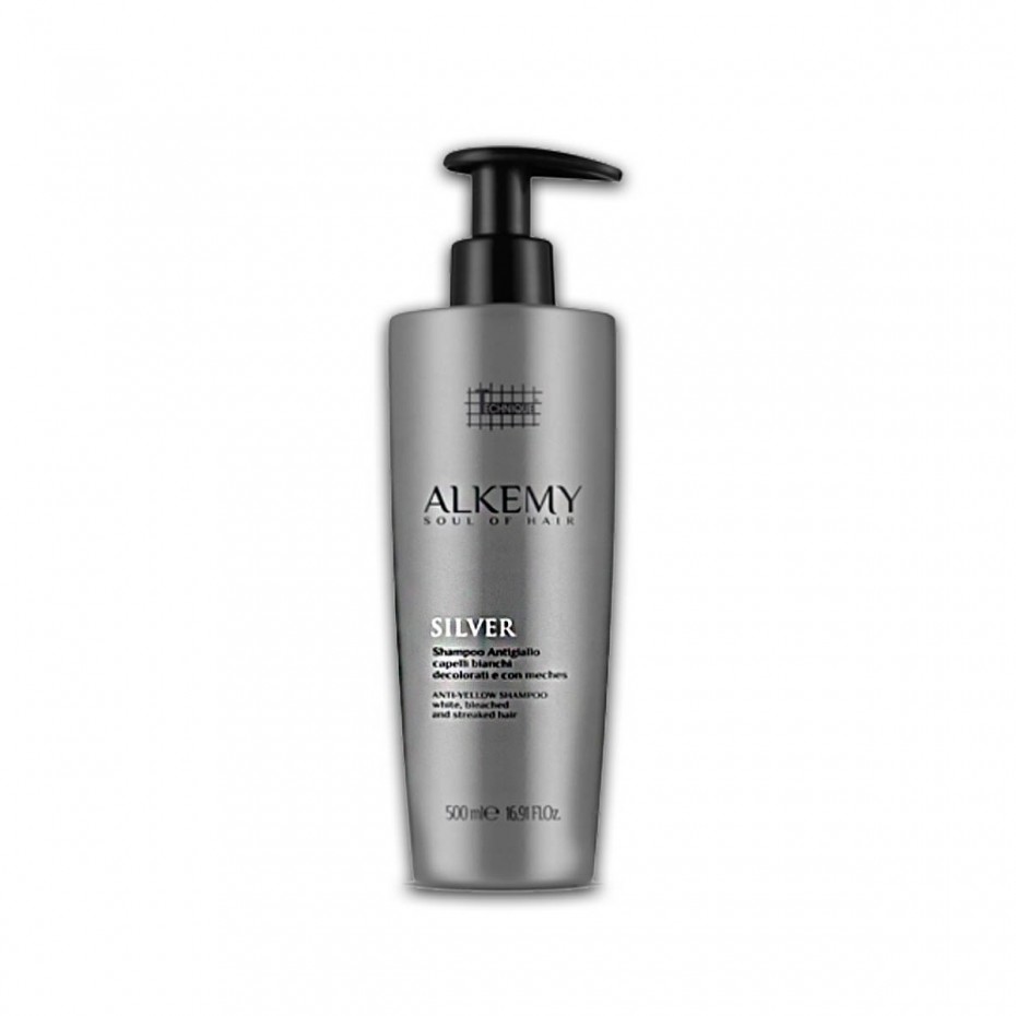 Acquista adesso Shampoo Technique Alkemy Silver antigiallo per capelli decolorati e con mechès da 500 ml TECHNIQUE 